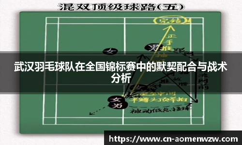 武汉羽毛球队在全国锦标赛中的默契配合与战术分析